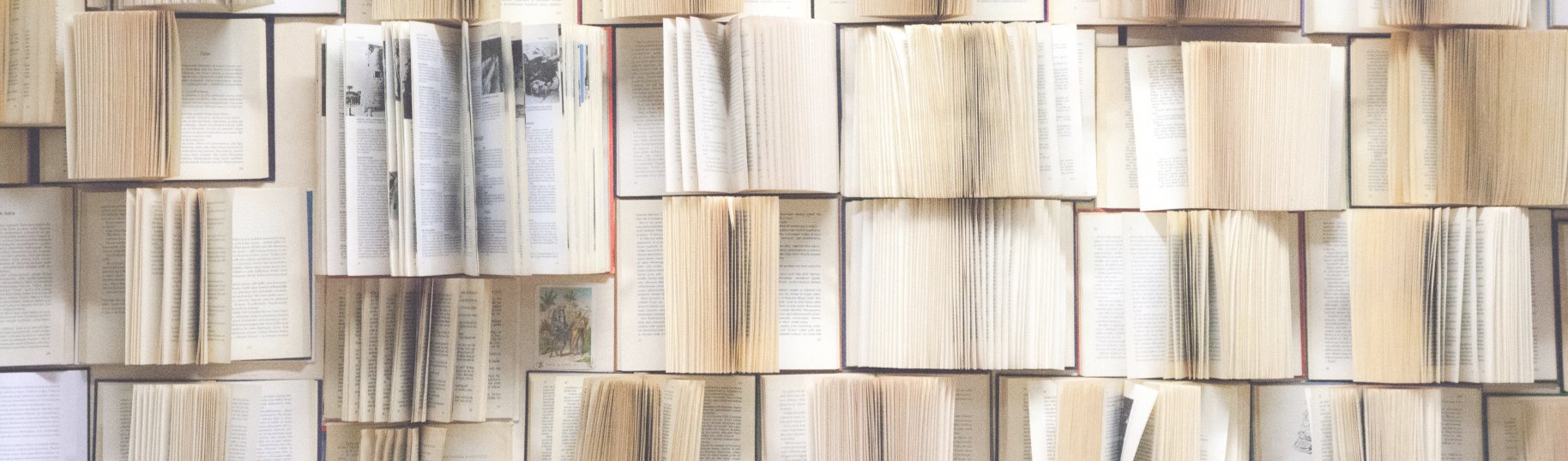 Books – Dwell with Dignity